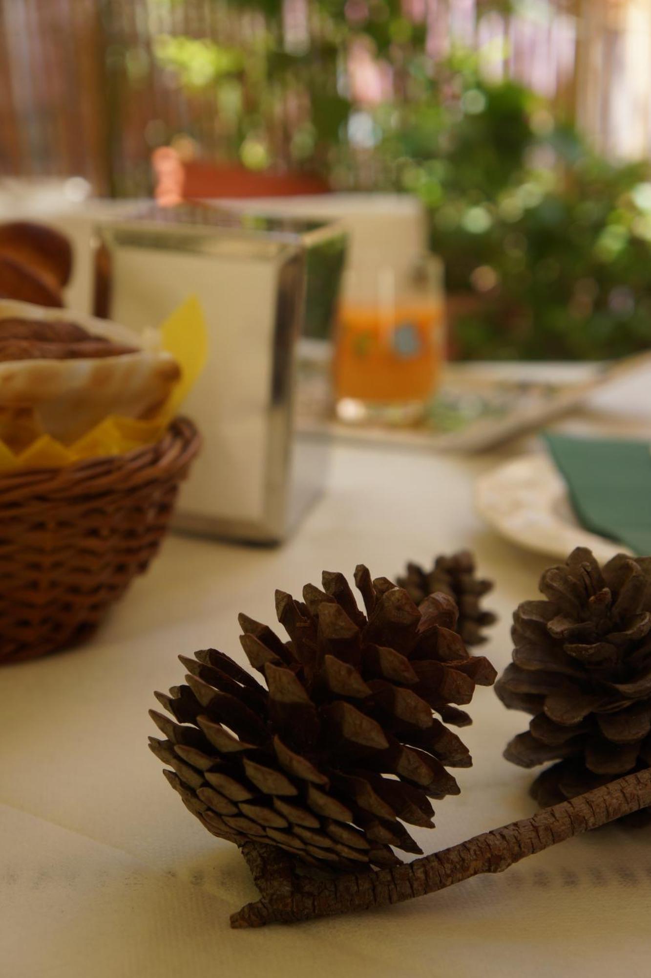 Santa Caterina Da Siena B&B Κατάνια Εξωτερικό φωτογραφία
